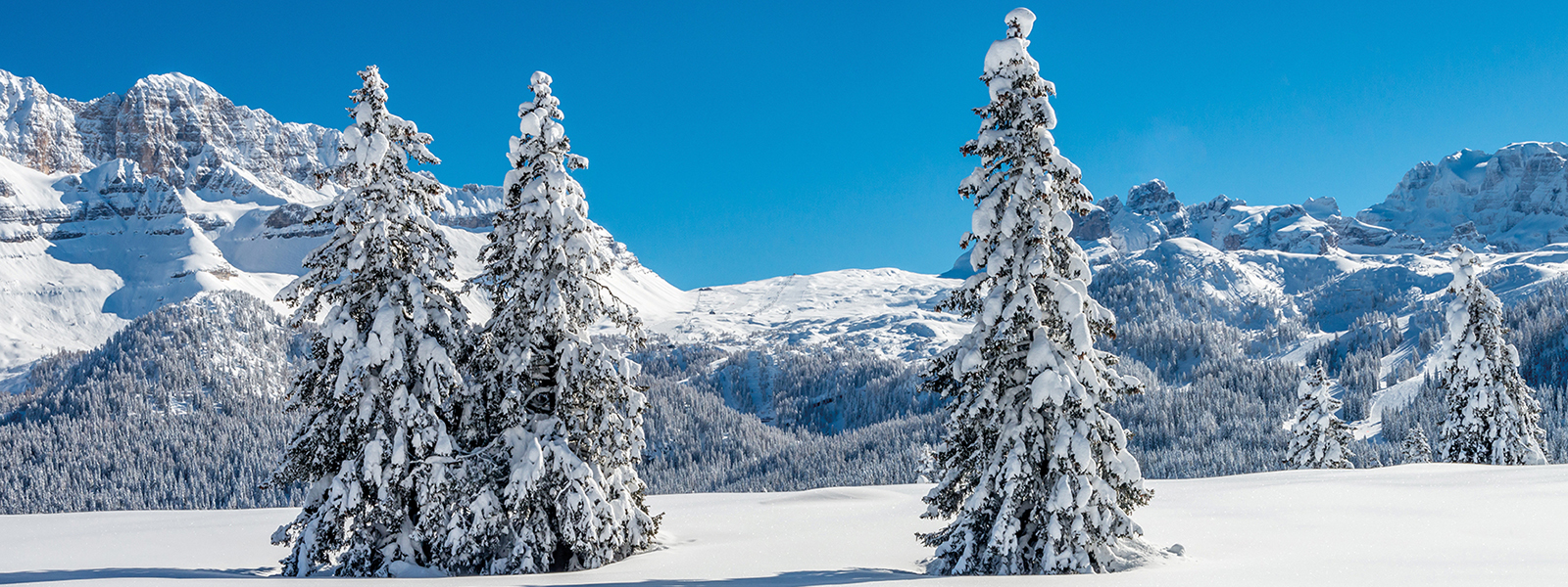Epifania in Val di Fiemme